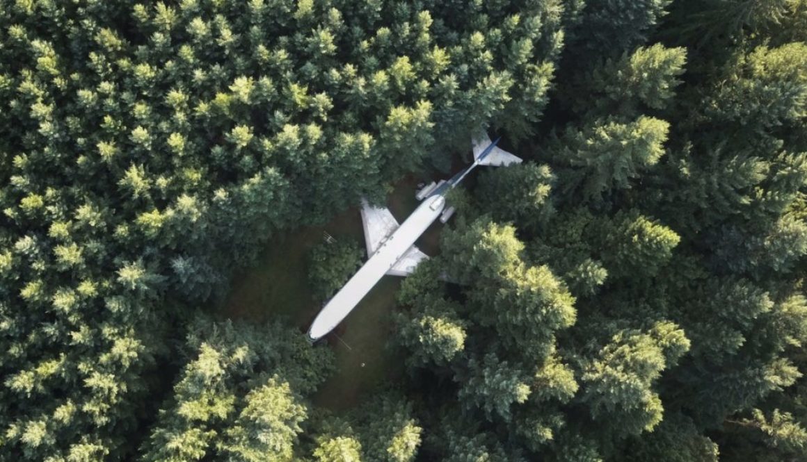 An Airplane in the Woods