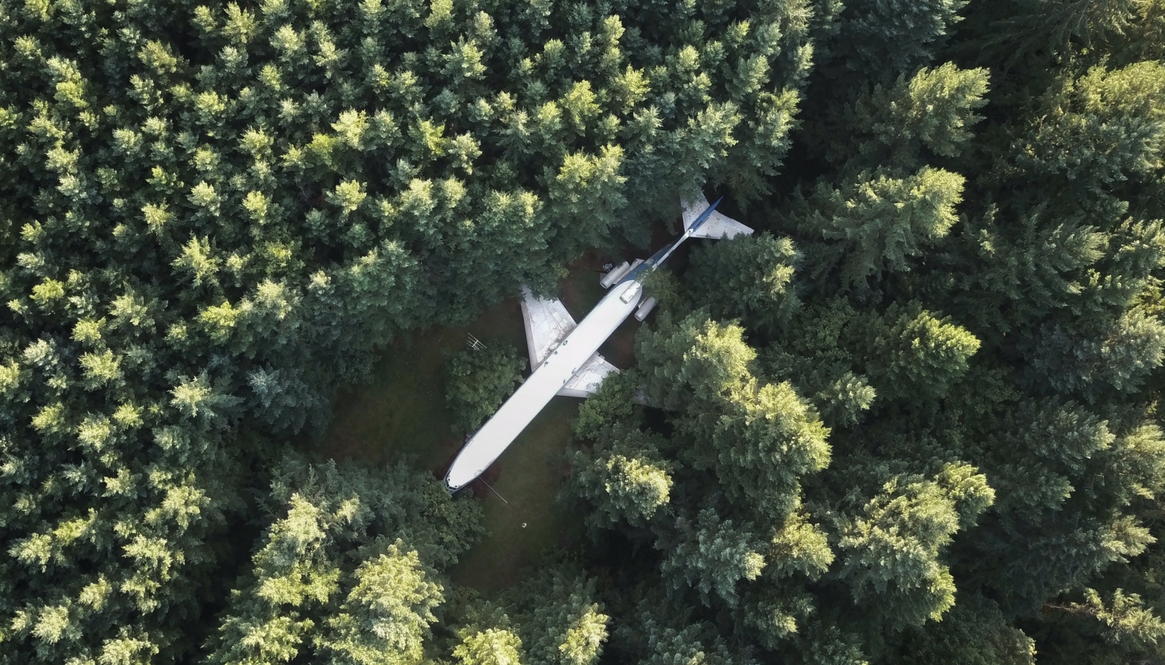 An Airplane in the Woods